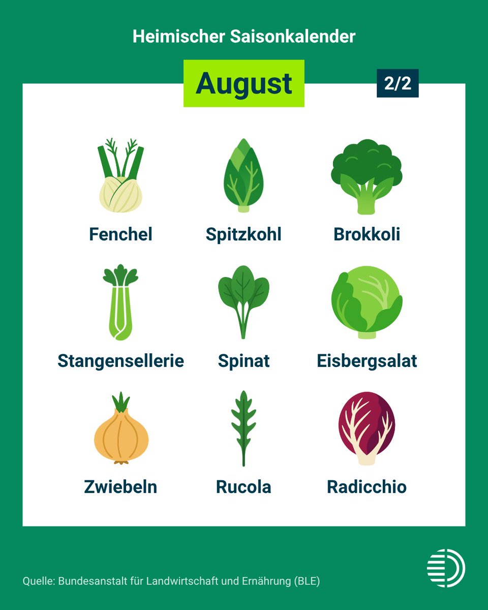 🫐🥦 Heimischer Saisonkalender – August frisch aus der Region

Im August ist die Auswahl groß: Von Pflaumen, Mirabellen und Heidelbeeren bis zu Tomaten, Gurken und Zuckermais 🍅🌽 Viele heimische Obst- und Gemüsesorten haben jetzt Saison.
Perfekt, um bunt, frisch und regional zu