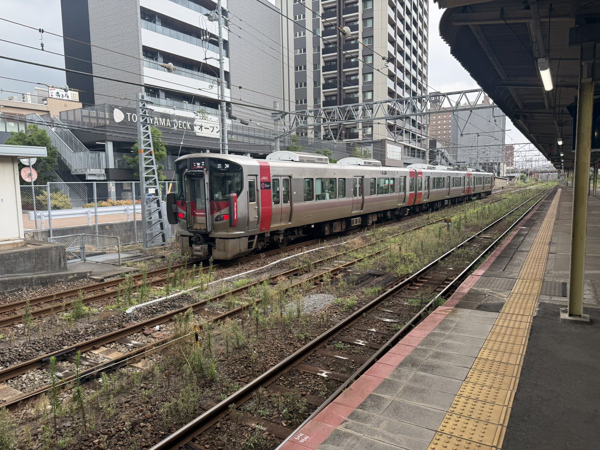 結果的に練習となった今日の227系・・・
A49編成でした。

そしてひとこと
DJ鉄道楽ナビさん仕事してくんなまし🥹