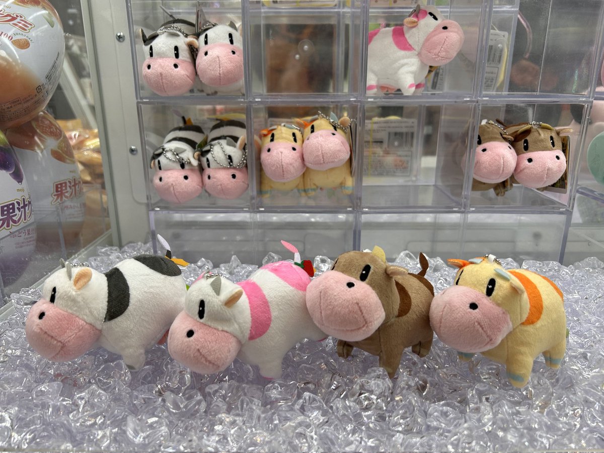 Opslit ballchain sapi story of seasons (harvest moon)

💰 24.500 ea bersih jp
CANCEL bila tidak full

Available
Regular cow ❌❌❌❌❌✅✅✅

Fruit cow (orange)
✅✅

Strawberry cow
✅✅✅

Coffee Cow 
✅✅✅