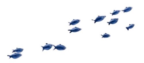 rdowoon's tweet image. ⠀
⠀⠀⠀⠀little⠀blop^＿^⠀fishyy!⠀fish:3
⠀⠀⠀⠀swim＿m⠀on⠀thʼ⠀sea⠀puddl!
⠀⠀⠀⠀splo★sh⠀and⠀blub:⠀bubbles
⠀⠀⠀⠀splashinʼ⠀salty⠀ocean⠀pools
⠀⠀⠀⠀ 𓈒 𓇼  mm! ⠀% ⠀sünny⠀glōop:9
⠀⠀⠀⠀ ⠀.° ｡𖦹˚ 𓆝 ｡𖦹°‧ 𓇼 ⋆｡˚ 𓆝⋆｡˚ 𓇼
⠀