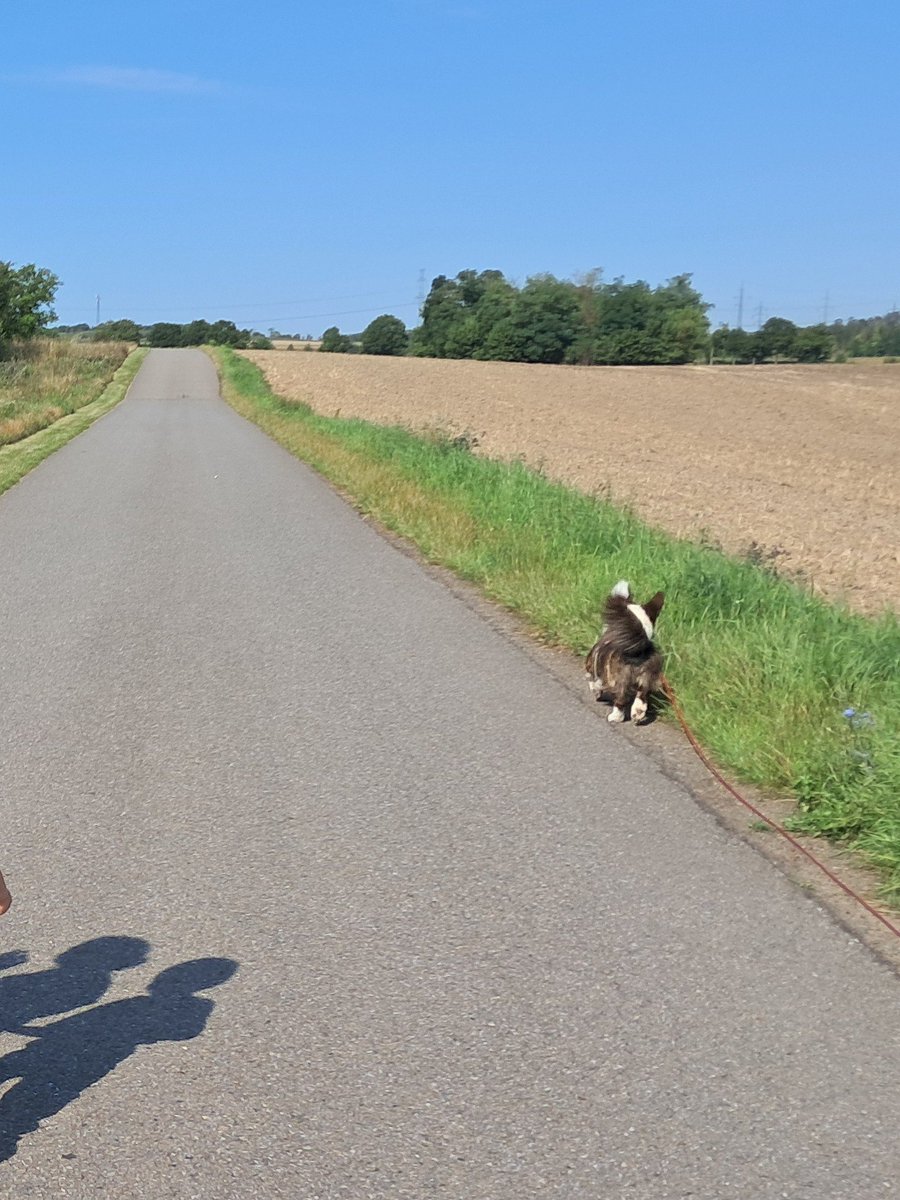 Den jako koralek, mladata unaveny! ❤️🥰