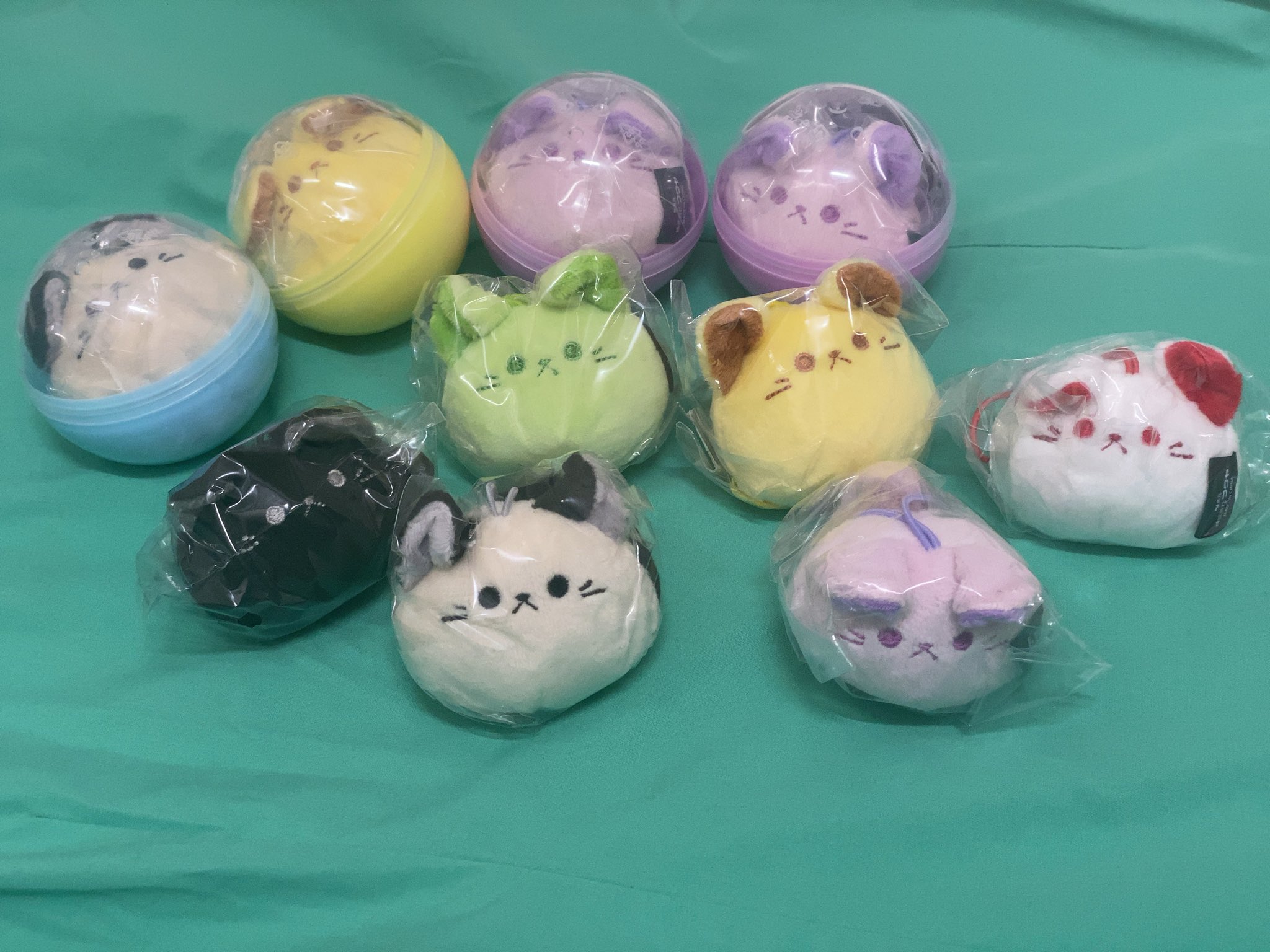 着用数回、美品！チンチラケープ♡︎ チンチラのチラプー - Search / X