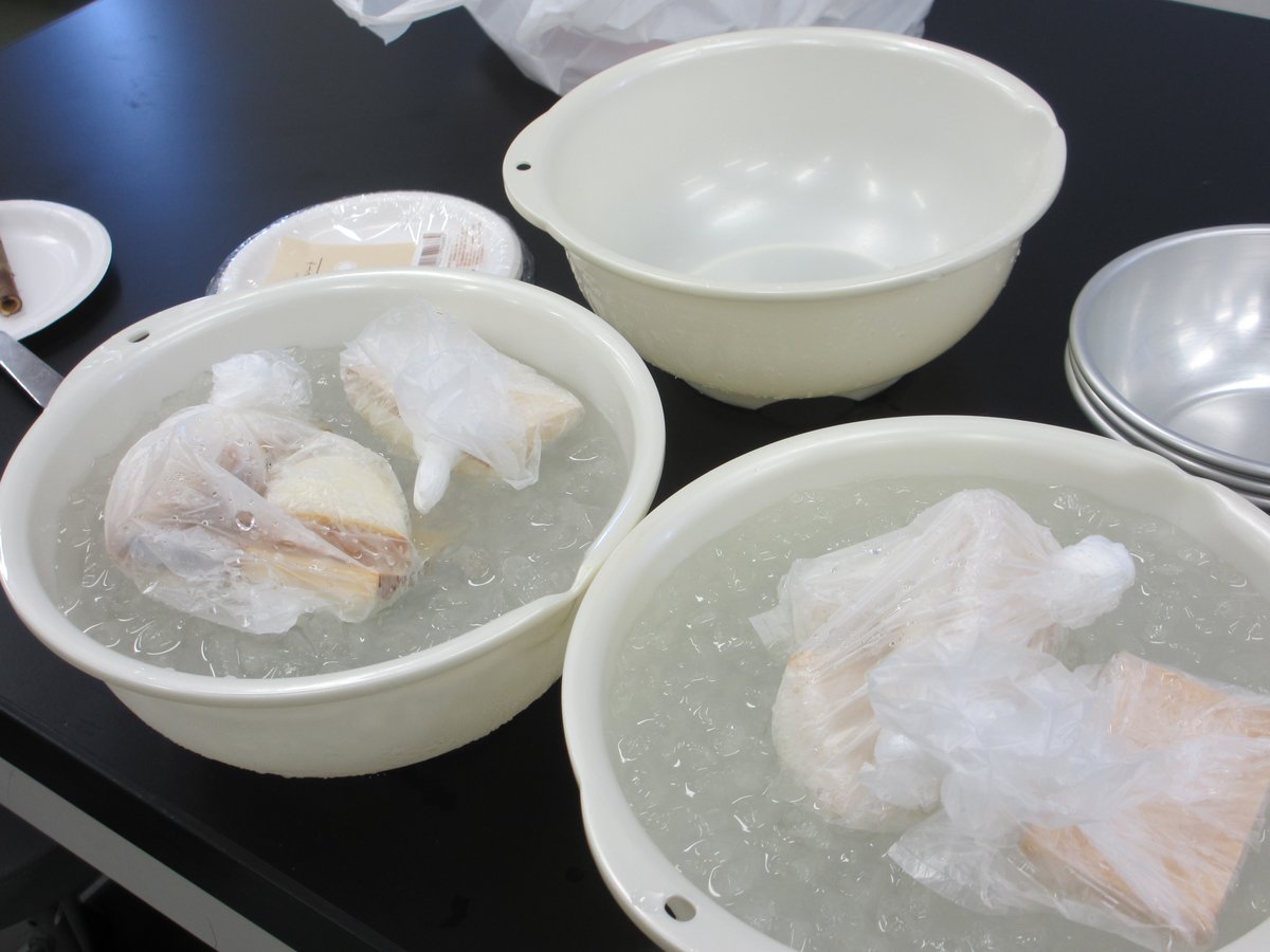 【講義紹介：水産学実習🔬】
プリプリのかまぼこ。その美味しさの裏には、緻密な科学的原理が隠されていました。
実習では食品メーカーの職人を講師にお招きし、 ▶︎魚肉タンパク質のゲル化 ▶︎塩が果たす重要な役割 など、伝統技術に裏付けられた科学を実践的に探求しました。
#日本大学 #生物資源