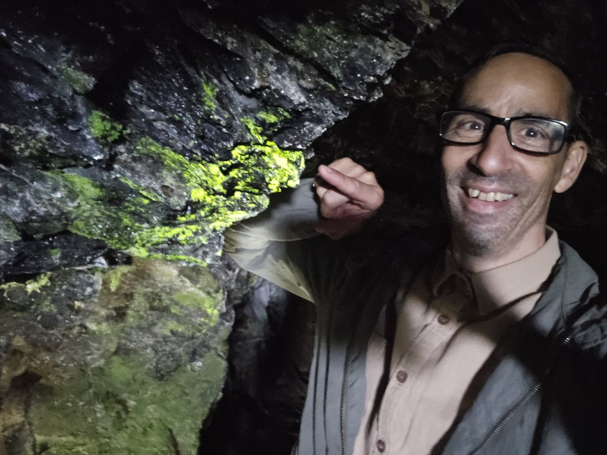 Jamie warren tweet media