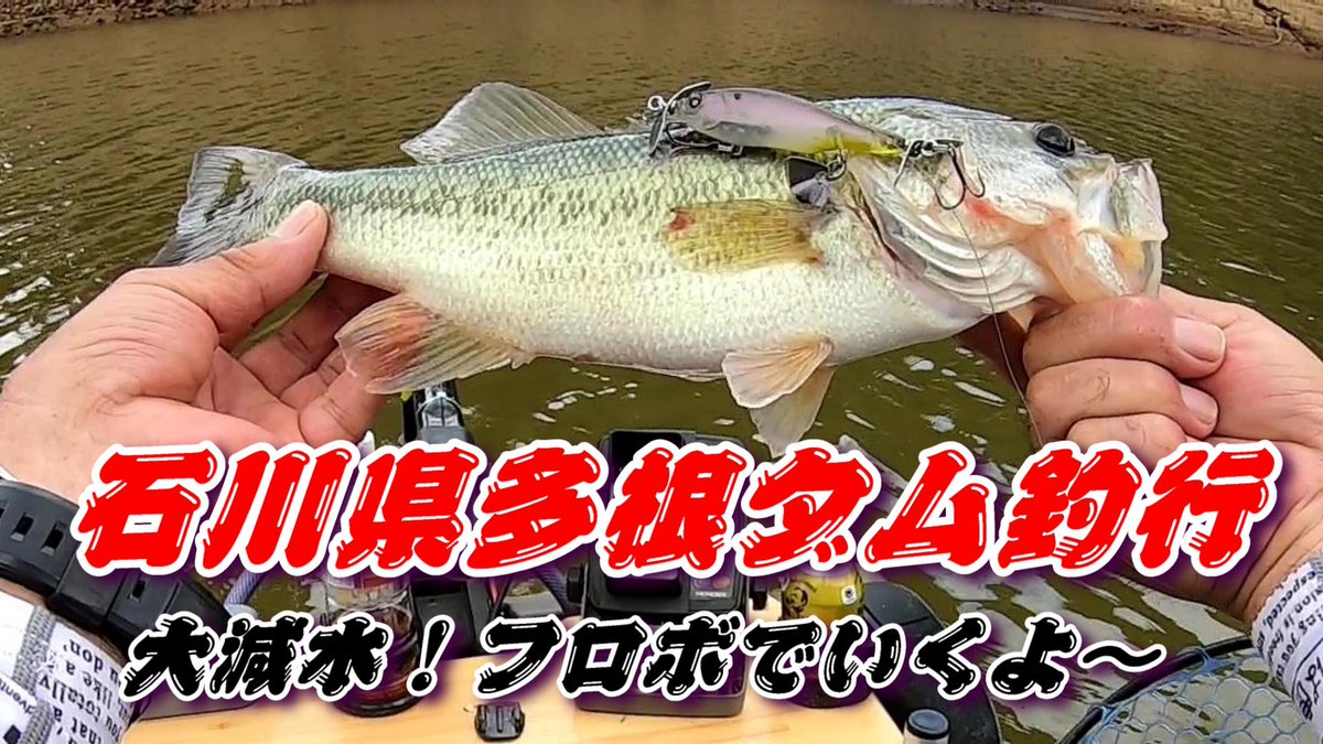 こんにちは！
今回は多根ダムの釣行動画を撮影してみました。
小ぶりな子達が出演してくれていますので
是非遊びに来てください。
8/8日の18時公開予定してます。

youtu.be/z22jBfsY5tE
