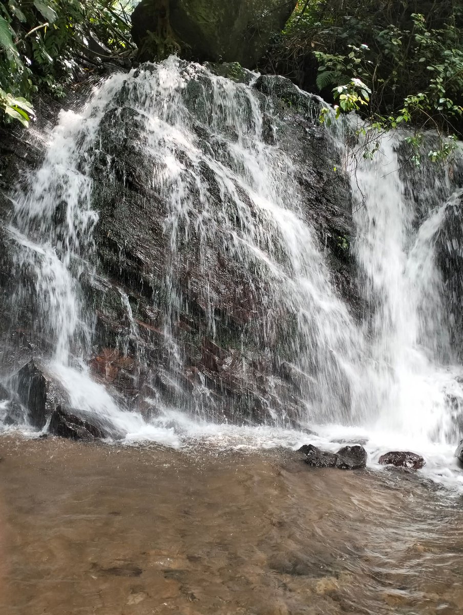 KerupukSound's tweet photo. Curug CIPUTRAWANGI

⛰️ BC Pendakian Gunung TAMPOMAS via Narimbang
💧Curug (Air Terjun)
⛺ Camping Ground

📍 Desa Narimbang, Kec. Conggeang, Kab. Sumedang, Jawa Barat https://t.co/LMQYJ7IMm5