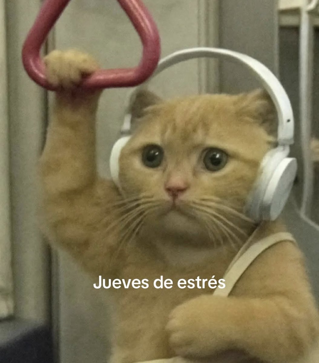 En Júpiter (@en_jupiter_) on Twitter photo 