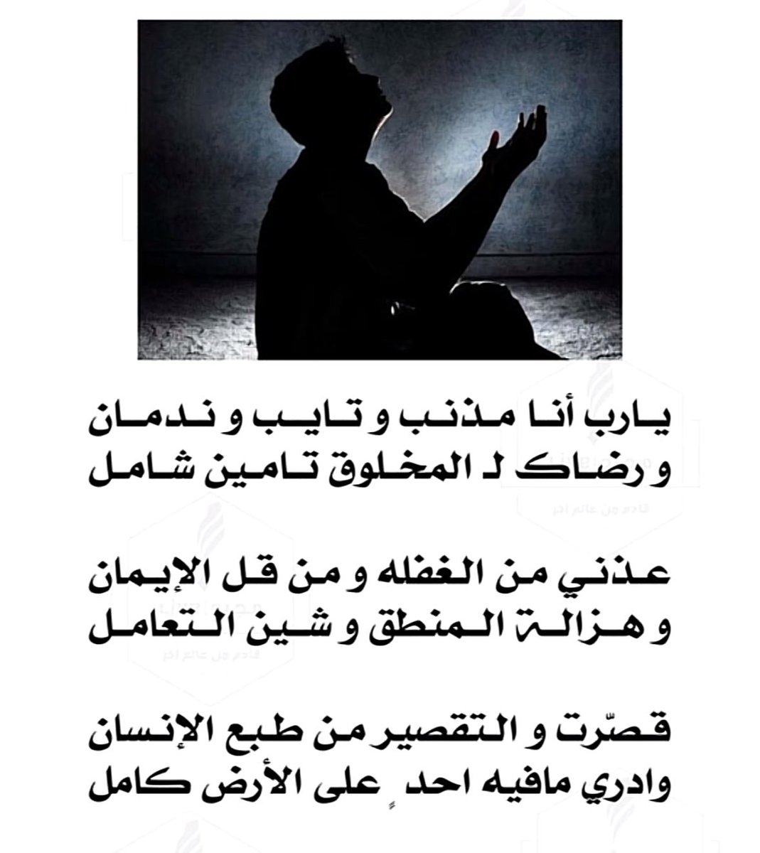 vip خاص نوادرالابل (@vib151515) on Twitter photo 