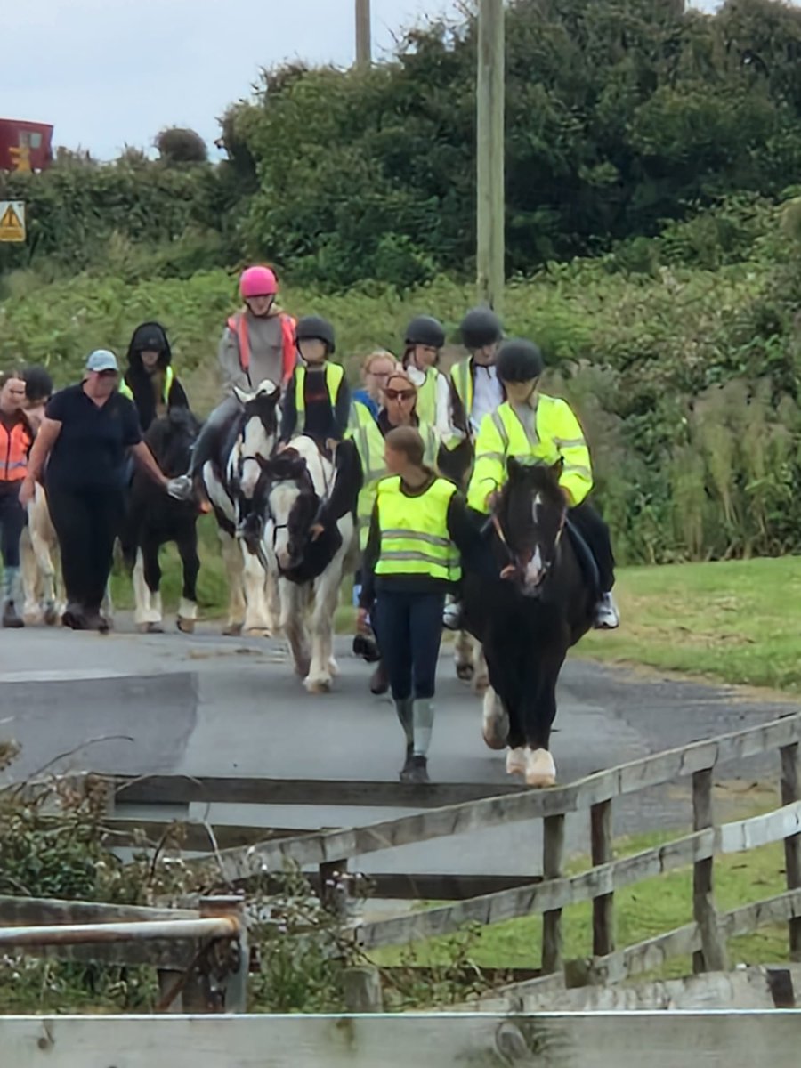 Yesterday was Day 13 of our Young Carers Summer Activities and they headed over to Seaview stables again &amp; had a great time, below is the group from the July trip...