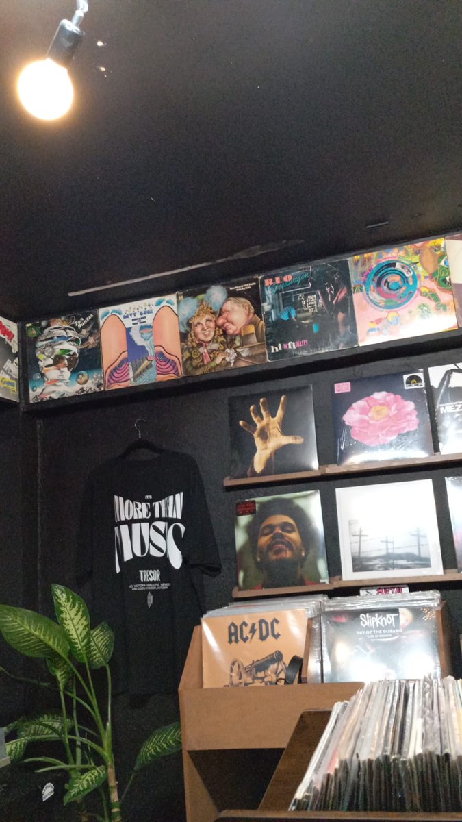 Alizer_r tweet media