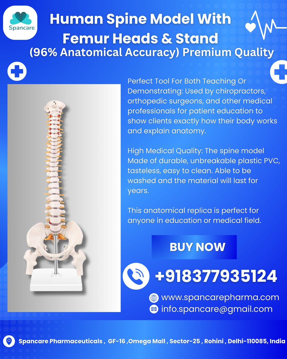 saini9779161's tweet image. Product :Premium Human Spine Model with Femur 
📞 Contact:

Name: Raj Saini
WhatsApp: +91 83779 35124
Website: spancarepharma.com
Email: info.spancare@gmail.com

#MedicalModels #SpineModel #AnatomicalModel #MedicalSupplies #OrthopedicTools #MedicalExport #AnatomyModel