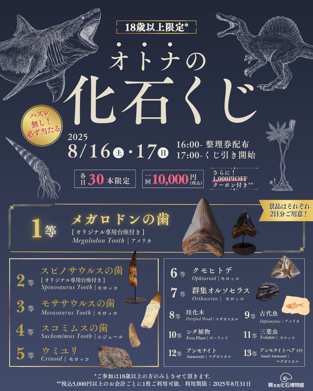 Highlights by 買える化石博物館 (@kaseki_jp) / X
