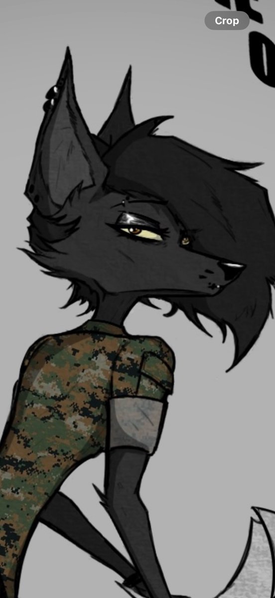 Officer In Charge for the Day

Lil sketch of Jenna at work

Jenna - Mine

#wolfoc #furryartwork #anthroart