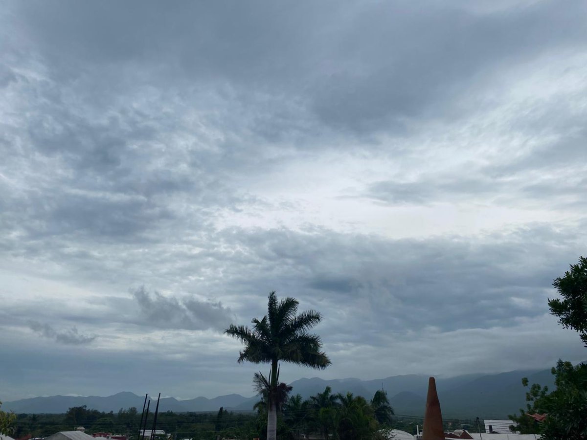 Alizer_r tweet media