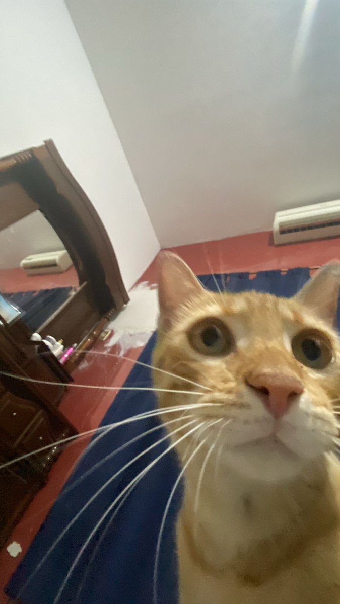 Alizer_r tweet media