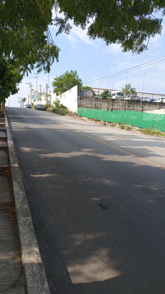 Alizer_r tweet media