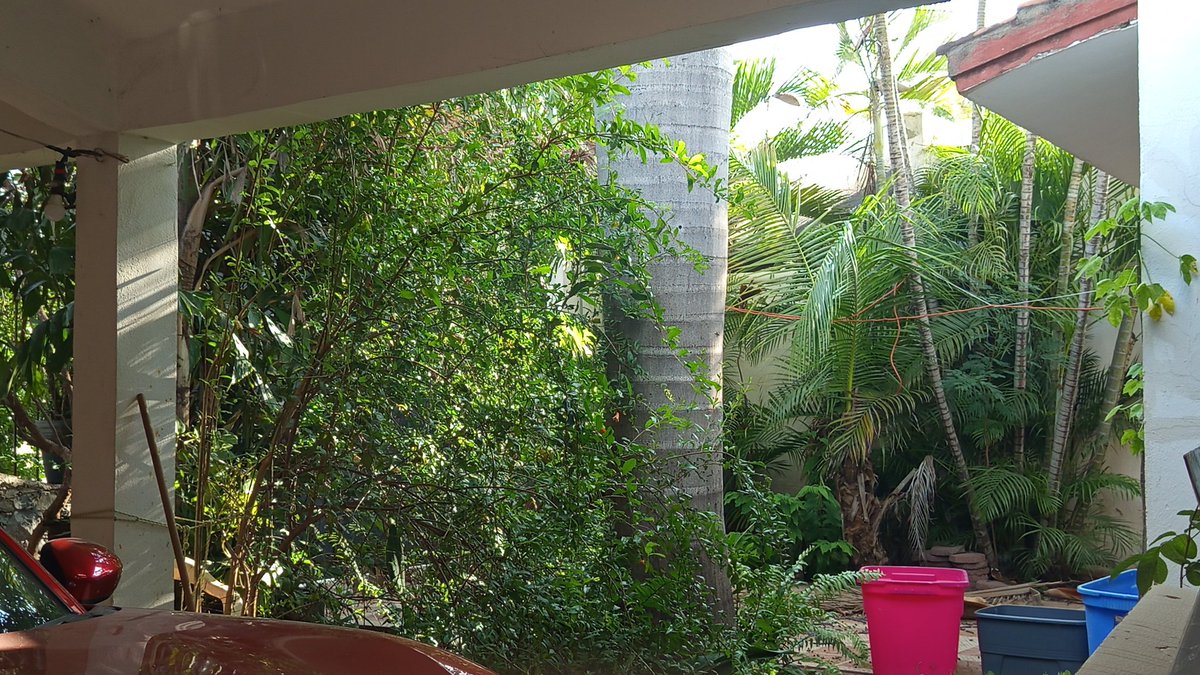 Alizer_r tweet media