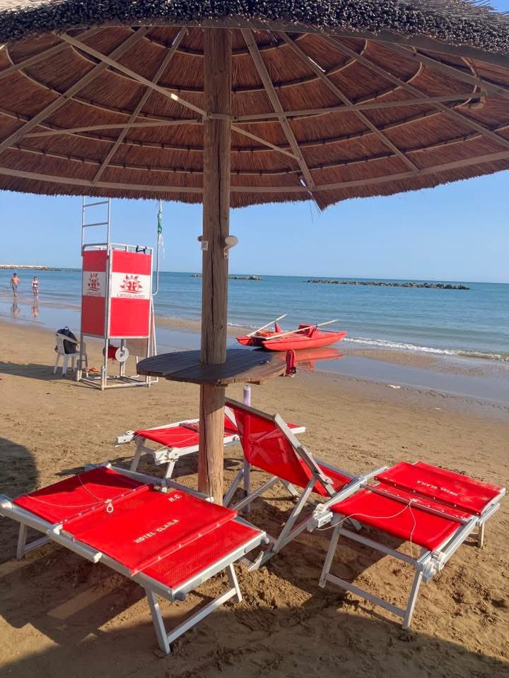 Annella Prisco tweet media