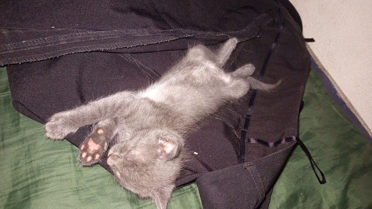 Alizer_r tweet media