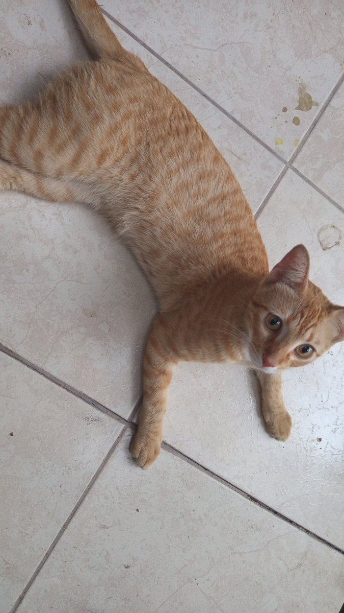 Alizer_r tweet media