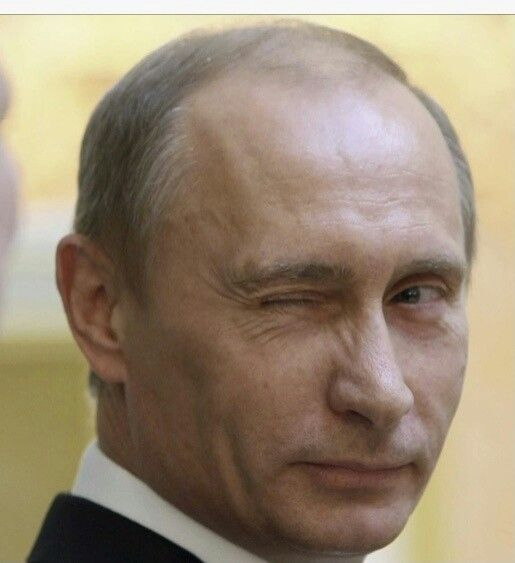 davidpladel's tweet photo. Vladimir Putin

Un hilo raro 🧵 https://t.co/vwtewOAtFq