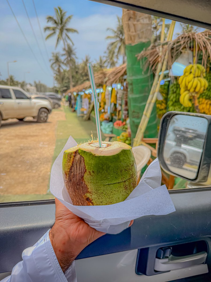sii_vv's tweet photo. 🌴🌴 https://t.co/CFT2aNidxp