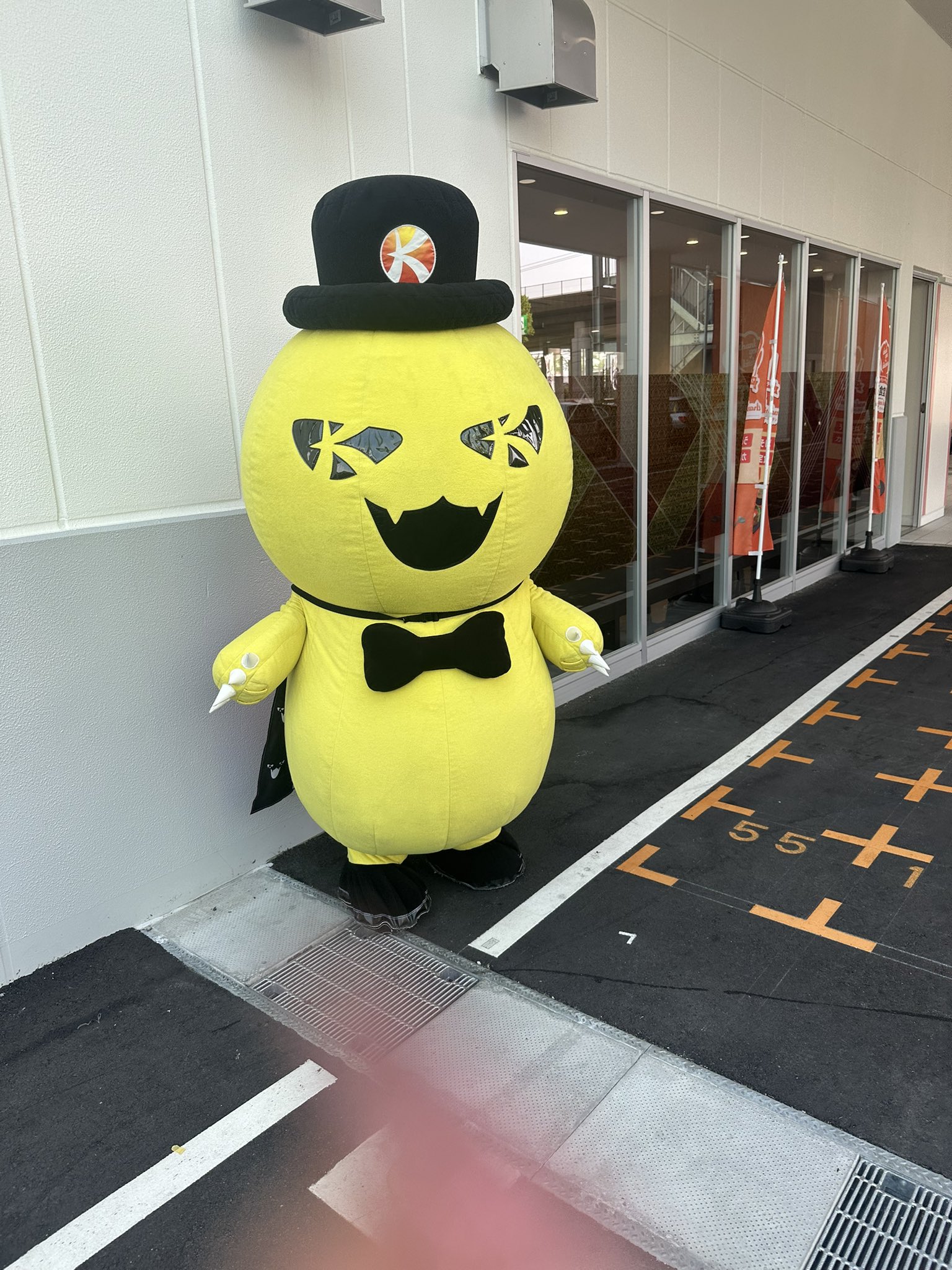 こきこな キコーナ 新宿三丁目店 | P-WORLD