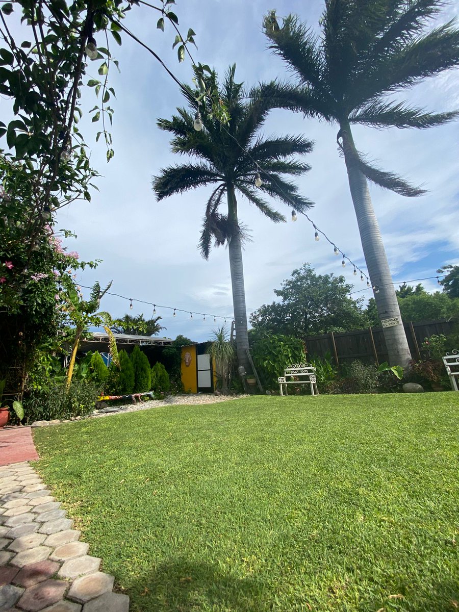 Alizer_r tweet media