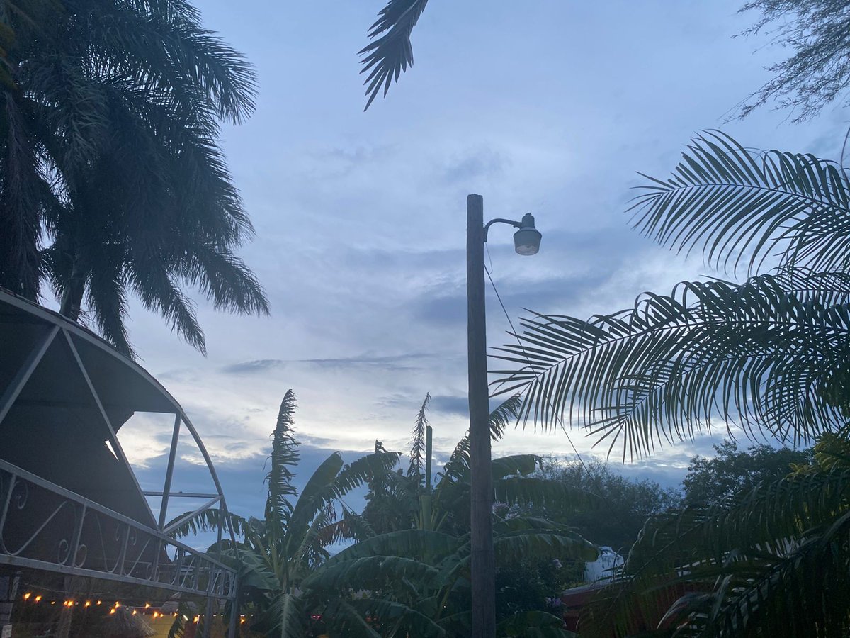 Alizer_r tweet media