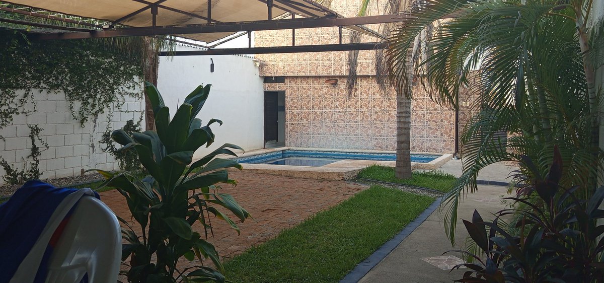 Alizer_r tweet media