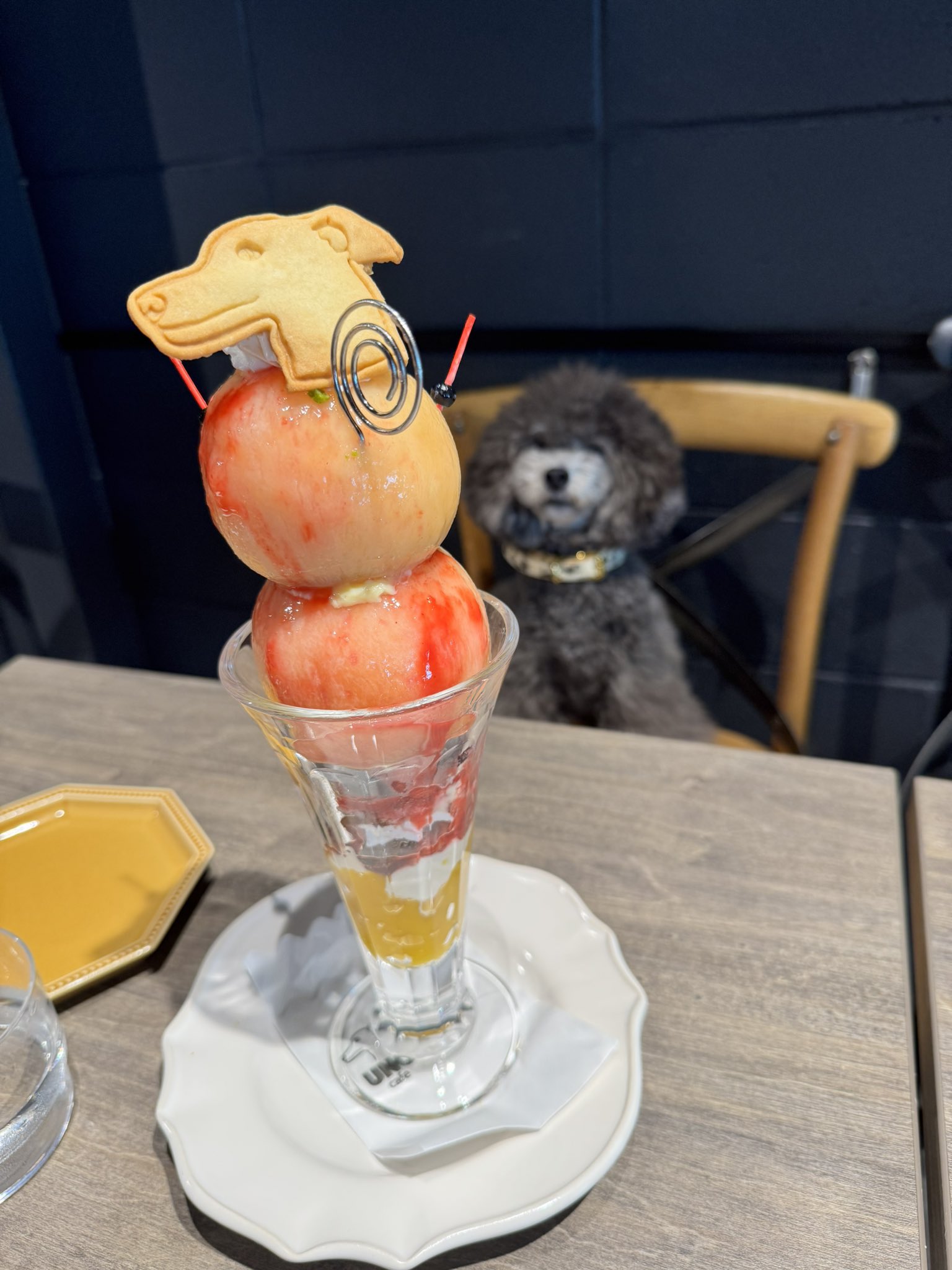FruitMochi 🥬 (@mochi_fruit) / X