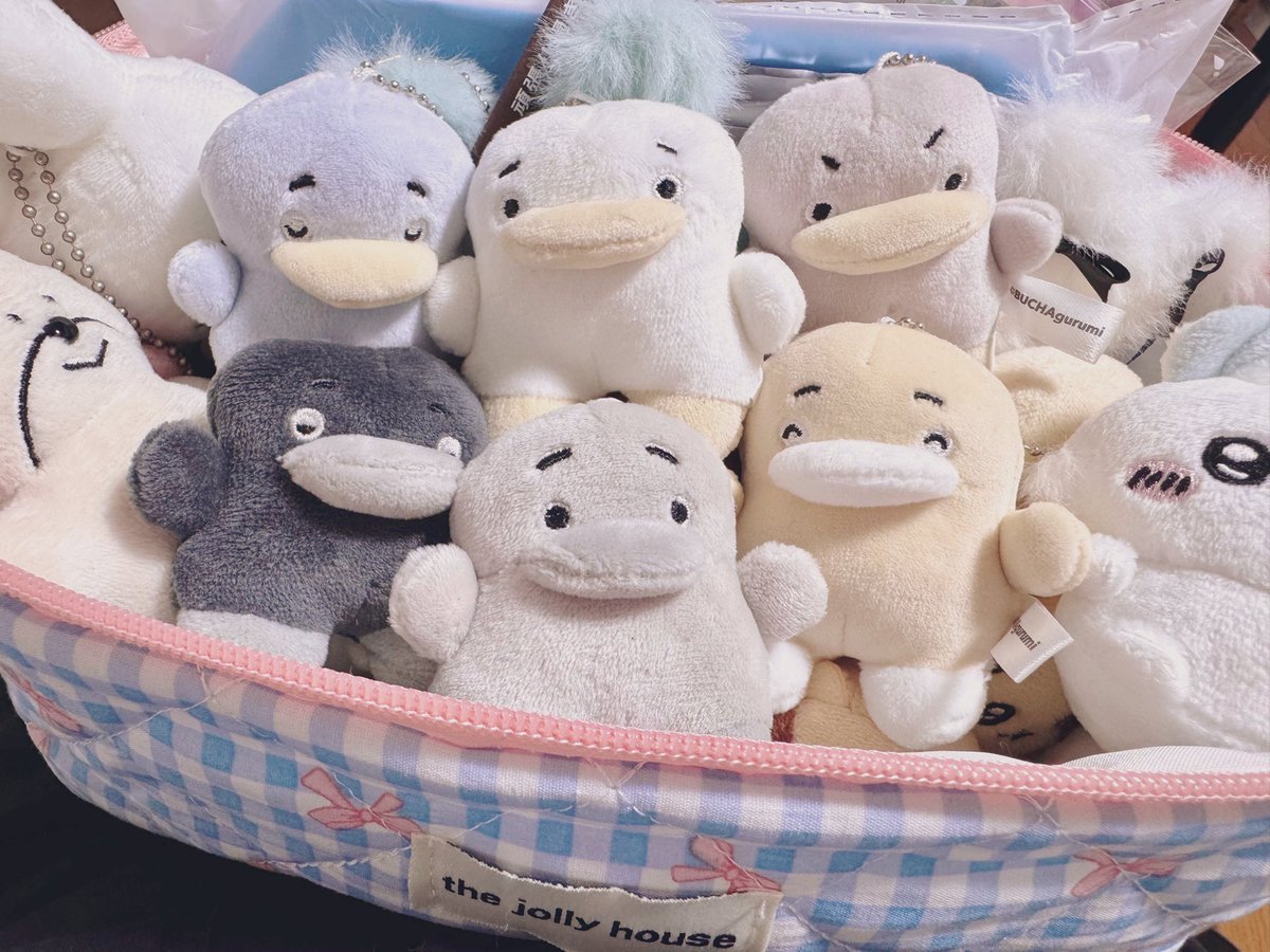 BUCHA gurumi / やまち (@BUCHAgurumi) / X
