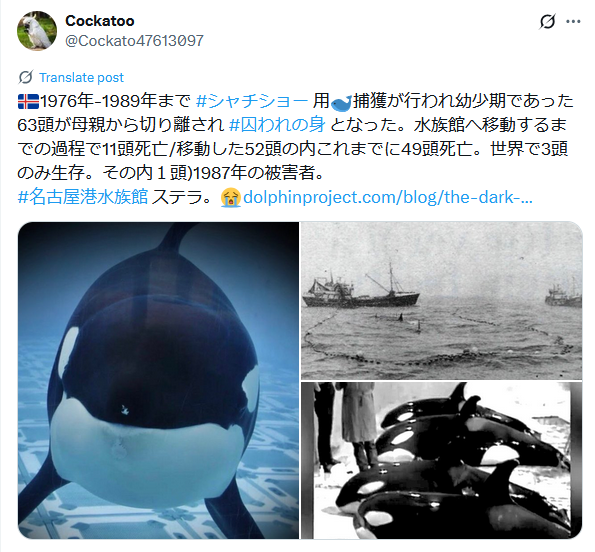 ❌水族館好き(❁ᴗ͈ˬᴗ͈)水族館の生き物 水族館へ行こう！2 海の生き物 お魚さんたちが大集合！！子供