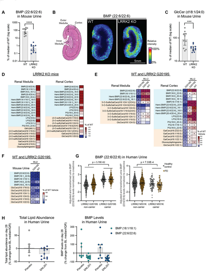 Interesting new details on the "therapeutic potential of LRRK2 kinase inhibition to improve #Parkinsons-associated lysosomal dysfunction &amp; supports the utility of glycosphingolipid as CSF-based biomarkers of LRRK2 activity" from <a href="/AnastasiaGHenry/">Anastasia Henry</a> et al
…arneurodegeneration.biomedcentral.com/articles/10.11…