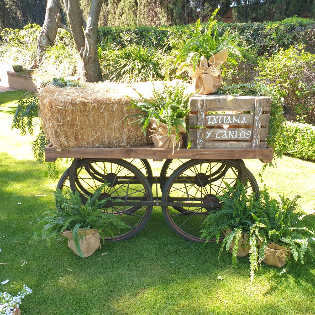 LasCameliasAF's tweet photo. 🍁 ¿Te casas en otoño?  ¡El gran día se acerca!

Ponte en marcha. En Las Camelias tenemos todo listo:

💐 Ramos | 🌸 Tocados | 🕯️ Centros | 🚗 Coche | 🪻 Ceremonia

✨ Haz que tu boda sea un sueño.

👉 Más info: https://t.co/2Lk9edsdk9

#BodasDeOtoño #RamoDeNovia https://t.co/WpeD1aVOAY