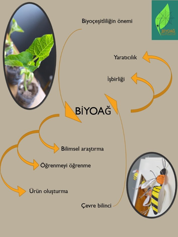 Arıların ekosistemdeki rollerinden bir bitkinin gelişim süreçlerini gözlemlemeye kadar biyolojiye dair birçok bilimsel bilgiyi sunan #BiyoağBiyolojiLaboratuvarı 🍃🕸