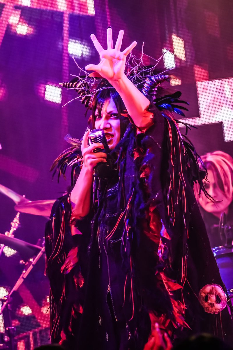 LIPHLICH / 猫と都 LIPHLICH(リフリッチ) on X: 