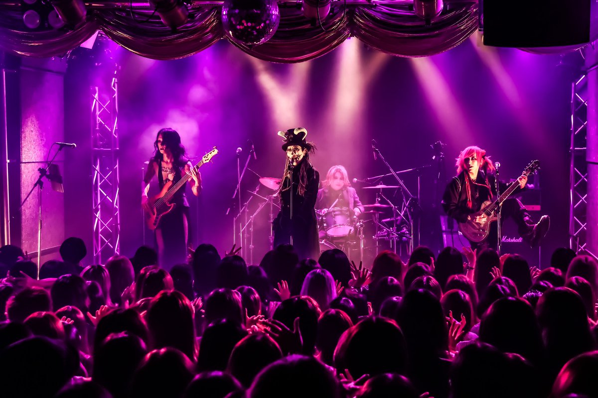 LIPHLICH / 猫と都 LIPHLICH(リフリッチ) on X: 