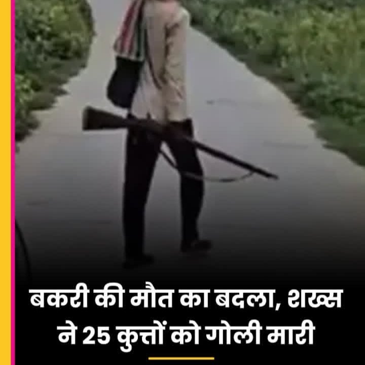 राजस्थान के झुंझुनूं से हैरान करने
वाला मामला सामने आया है. यहां एक शख्स ने 25 कुत्तों को एक के बाद एक गोली मार दी. बताया जा रहा है शख्स ने अपनी बकरियों की मौत का बदला लेने के लिए ऐसा किया है भाई लॉयल था बकरियों के लिए बाकी भाई ने बहुत गलत किया है। पुलिस ने मामला दर्ज कर लिया है