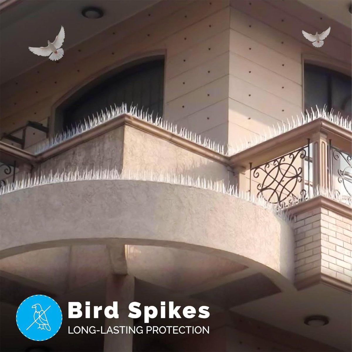 spikezoneltd's tweet photo. Bird Spike - An Effective Tool for the Bird Control  Now available at amazon

https://t.co/tZ5FX2H4Ai https://t.co/dGug9GRoSo