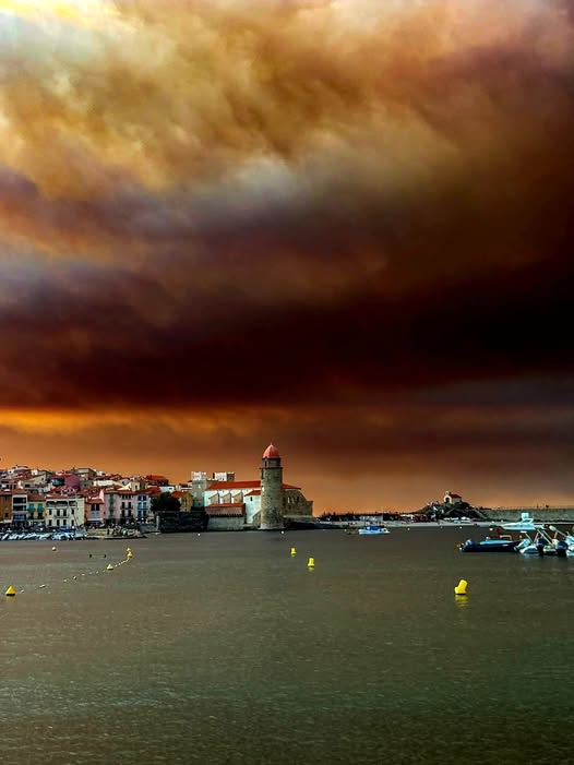 <a href="/EmmanuelMacron/">Emmanuel Macron</a> Ciel de Collioure hier soir !
Au dessus de nos tètes !
macron a annulé en 2022 la commande de Canadairs pour filer des tunes a son pote la pleureuse  Zelenski !
Ici on s'en branle de l'Ukraine !
Les animaux crèvent brûlés vifs par milliers !