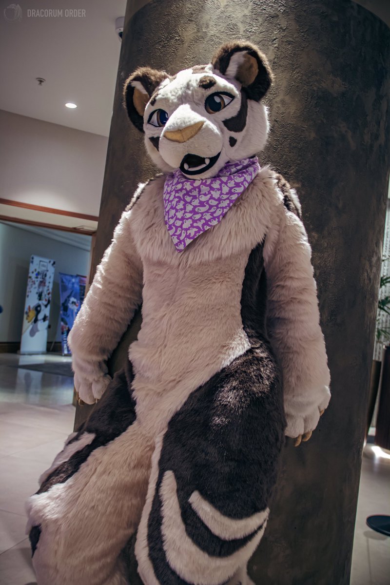 Una | Comms closed (@unapanthera) on Twitter photo Meow :3
📸 <a href="/DracorumOrder/">Dracorum Order 🧧</a> Meow :3
📸 <a href="/DracorumOrder/">Dracorum Order 🧧</a>