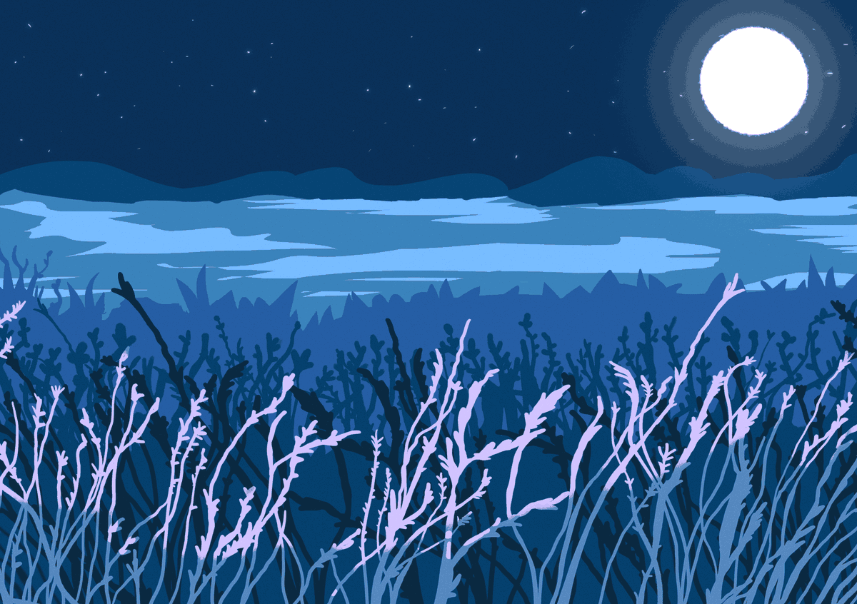 Victory tastes better under the stars. 🌟🌙

Late-night showdown? Grab your deck, outsmart your opponent, and end your day with a win in Eclipse! 🎴

✨ Who’s ready?