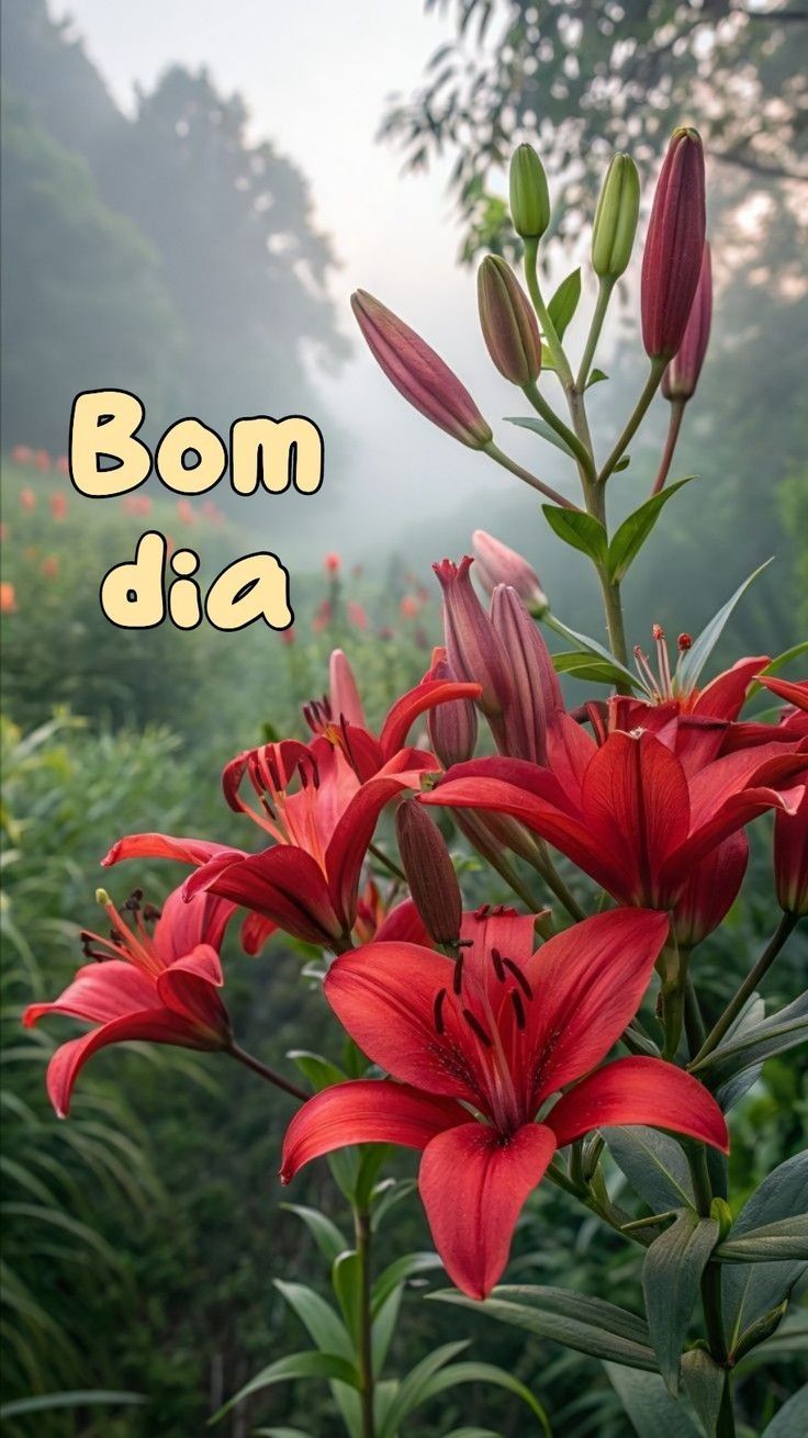 Posts with replies by Pedro de A.B. Neto (@Pedrobalapn)  X