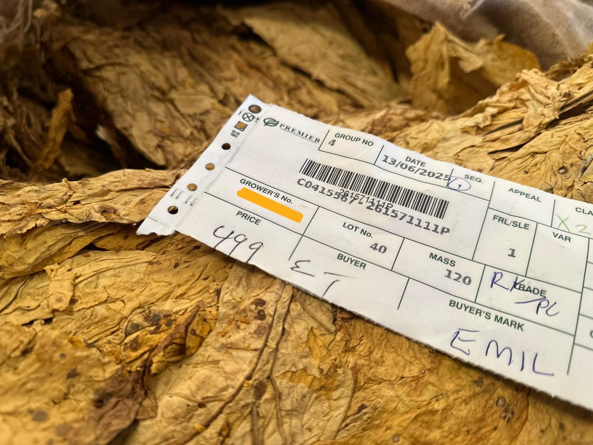 📢 REMINDER | 🗓️ 7 August 2025 Today marks the official closure of all auction floors for the 2025 tobacco marketing season.

Growers with remaining auction tobacco are encouraged to deliver it to the floors for mop-up sales on Wednesday, August 27, 2025.

Let's ensure a smooth