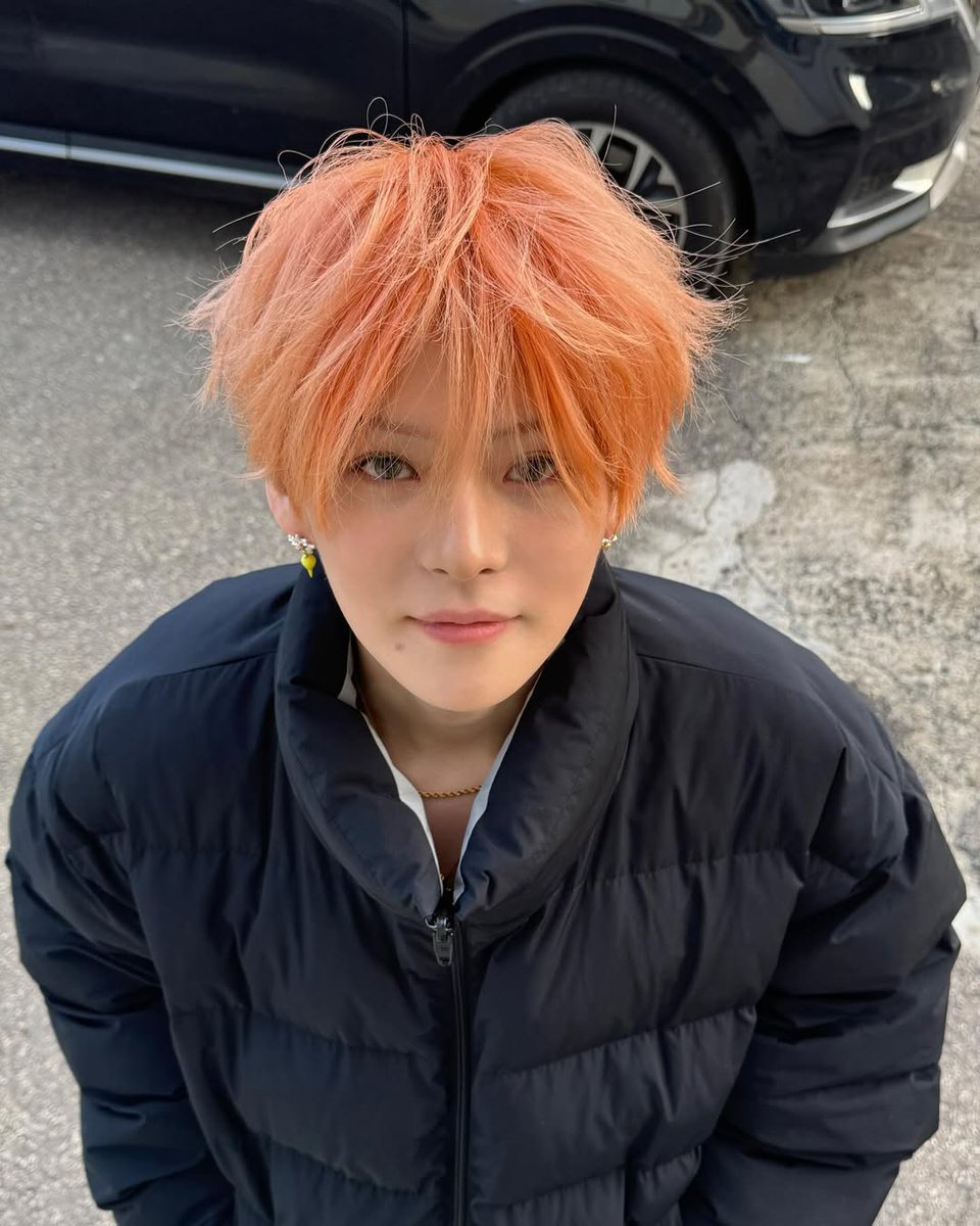 YOSHI INDONESIAN FANBASE 🇮🇩 tweet media