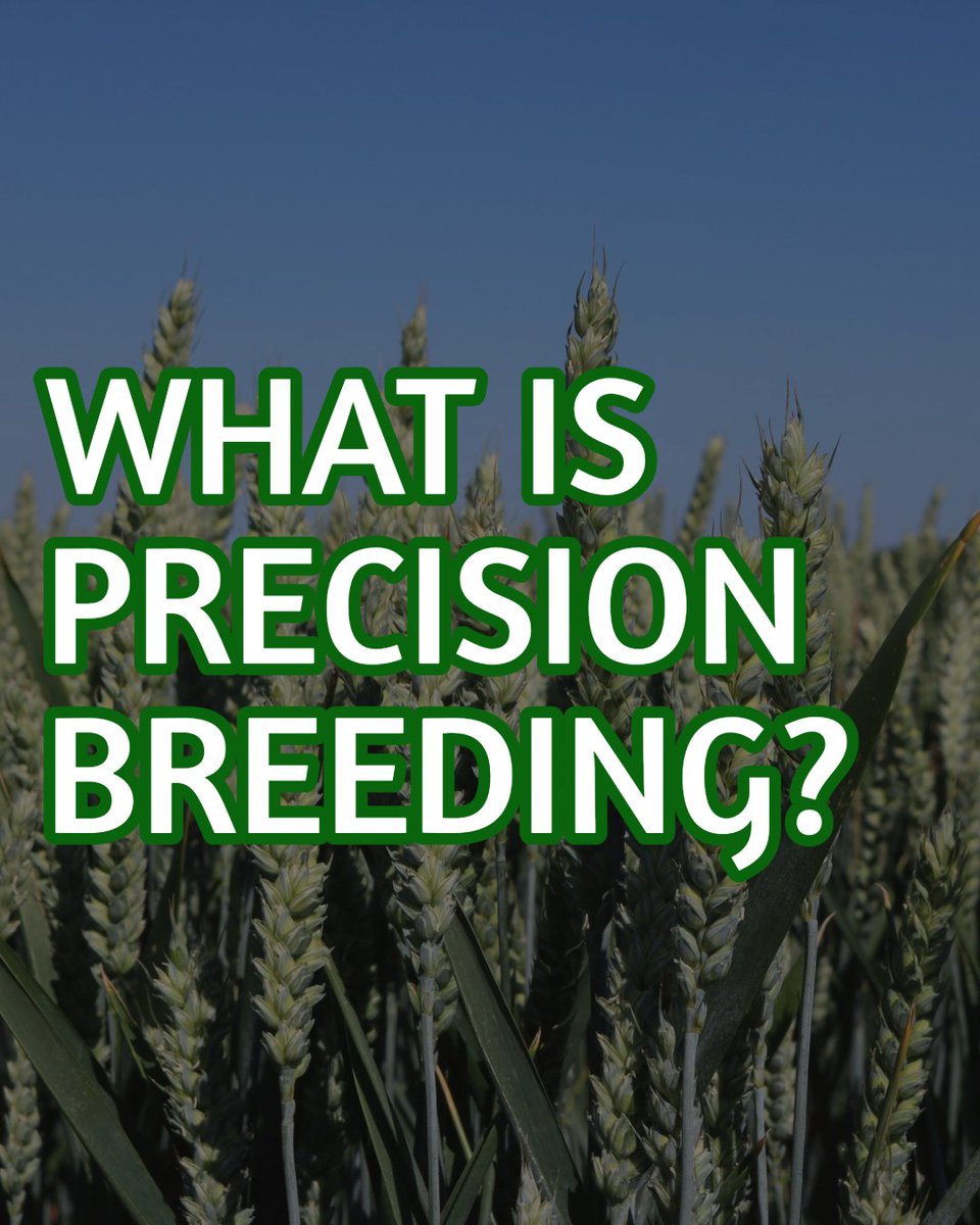 PROBITY Project tweet media