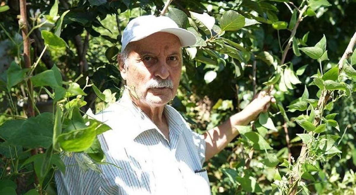 golosstambula's tweet image. 73-летний учитель на пенсии Хаккы Албайрак превратил свой сад в Самсуне в настоящий тропический оазис.

👉 golosistanbula.com/2025/08/07/sad…

#Самсун #садоводство #тропикивТурции #редкиеплоды #экзотическиефрукты #цветныедоматы #пепино #авокадо #огородмечты #урожай2025 #фермерыТурции