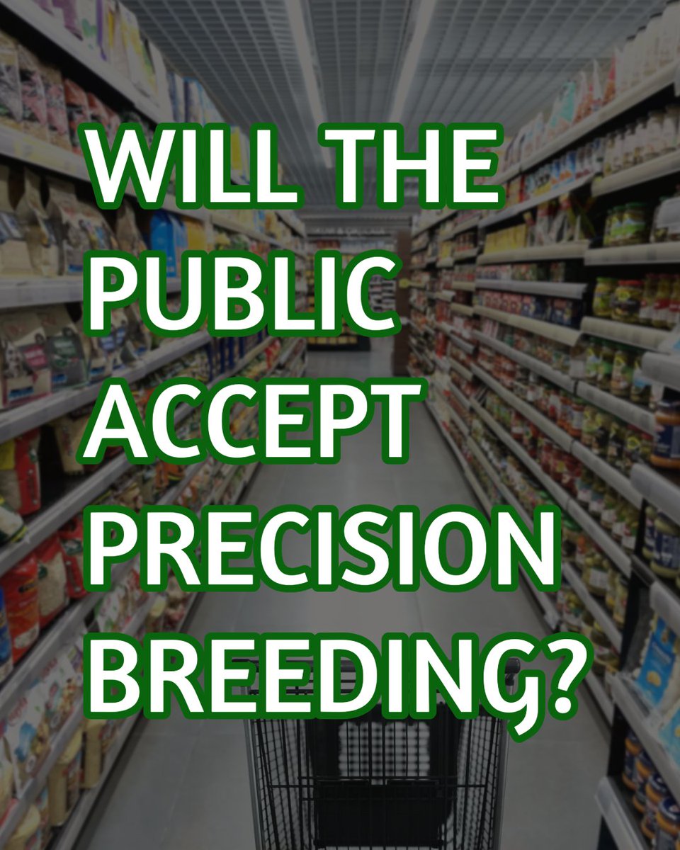 PROBITY Project tweet media