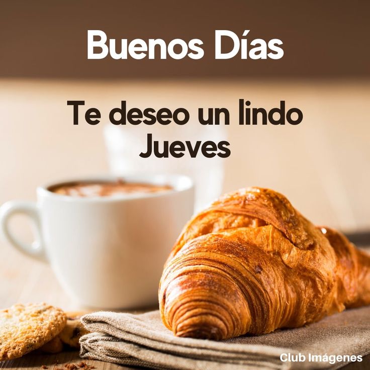 L@UR@M@N@NTI@L (@laura_manantial) on Twitter photo 